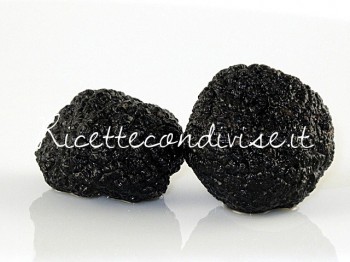 tartufo estivo o scorzone