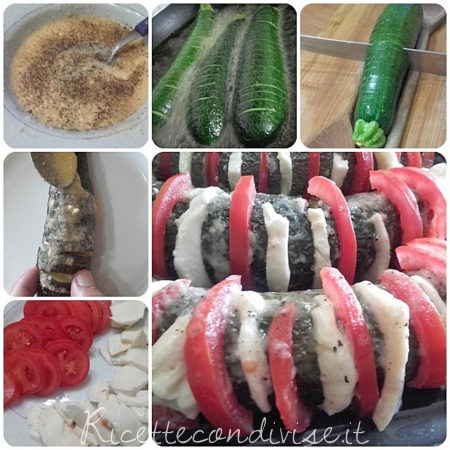 collage-zucchine-a-fisarmonica