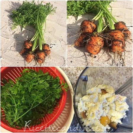 carotine-e-preparazione-polpette-con-ciuffo