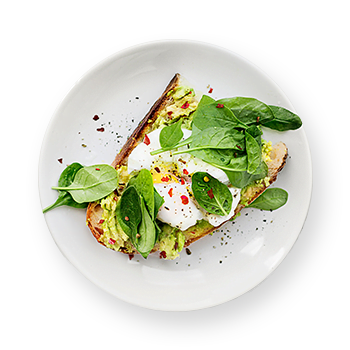 food dish 05